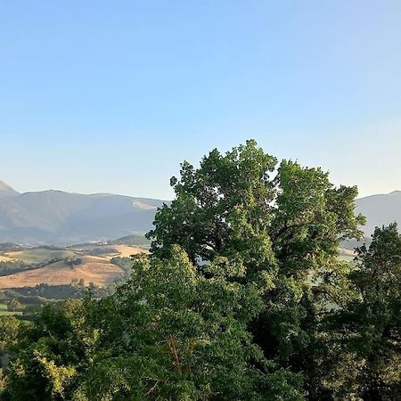 Pigno, Appartamento In Campagna กายี ภายนอก รูปภาพ