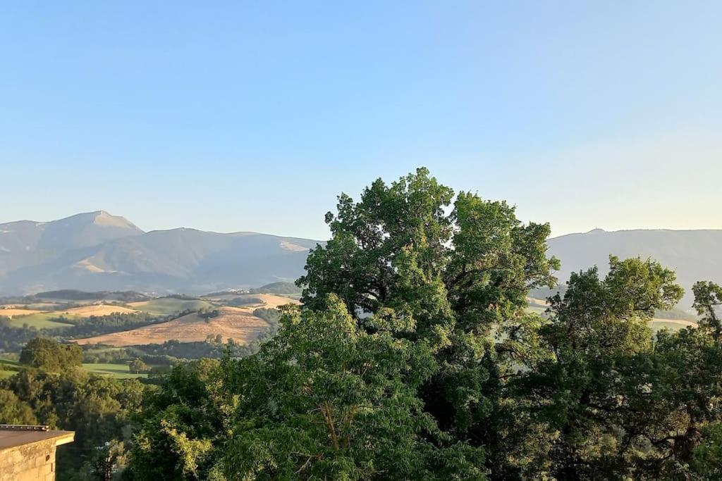 Pigno, Appartamento In Campagna กายี ภายนอก รูปภาพ